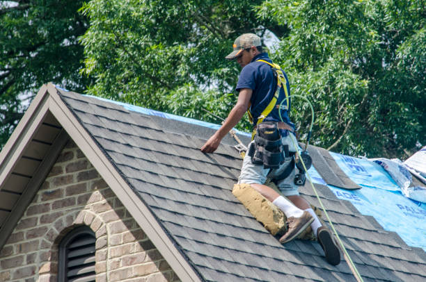 Best Roofing Contractor Near Me  in Parrish, AL